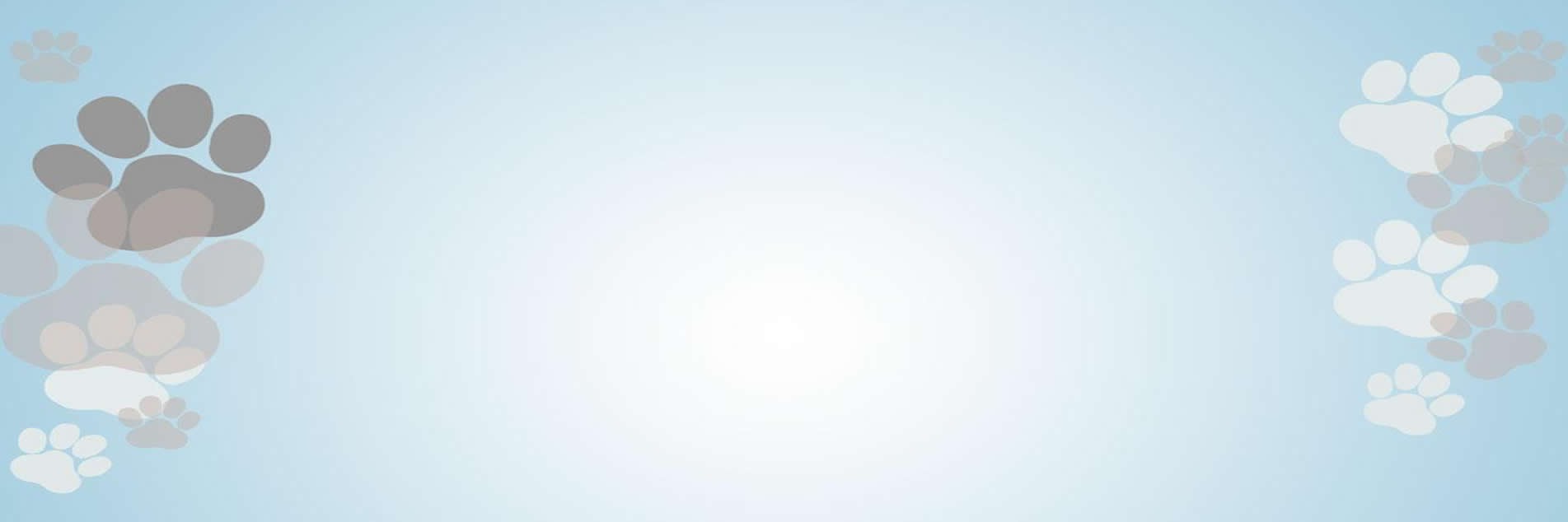 veterinaria del valle