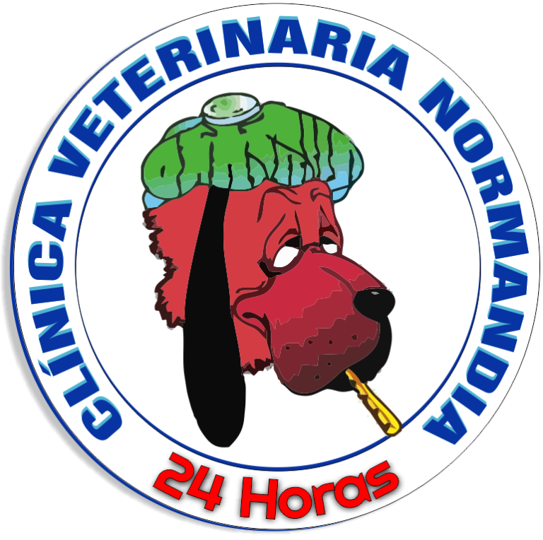 veterinaria dr ariza