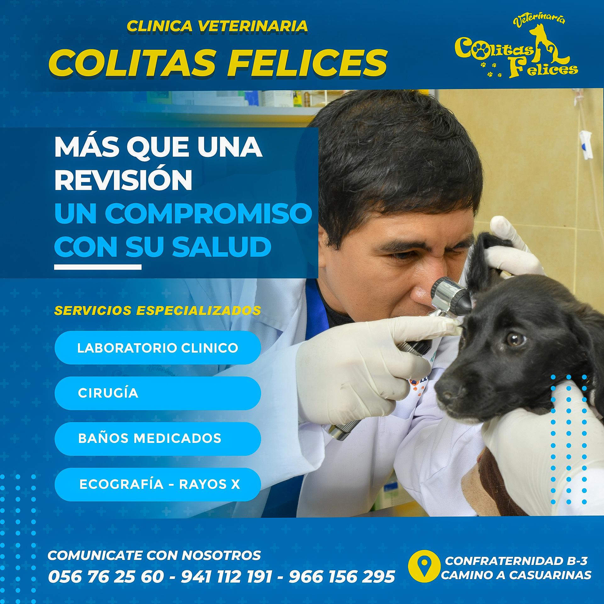veterinaria dr colitas