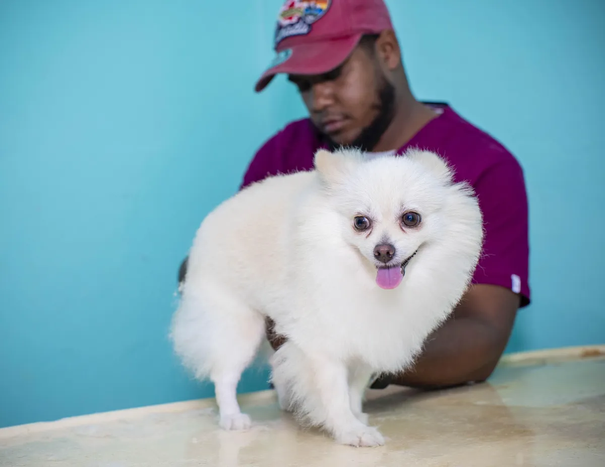 veterinaria dr de la cruz