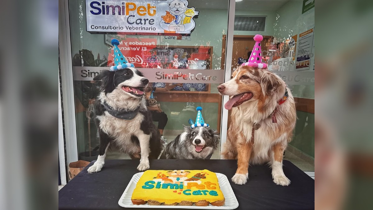 veterinaria dr herrera 4