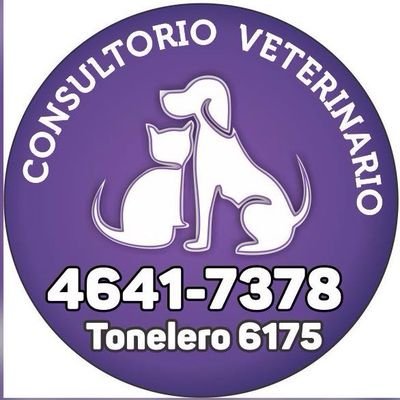 veterinaria dr medina