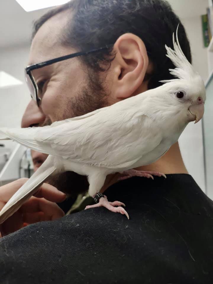 veterinaria dra rosa naveo