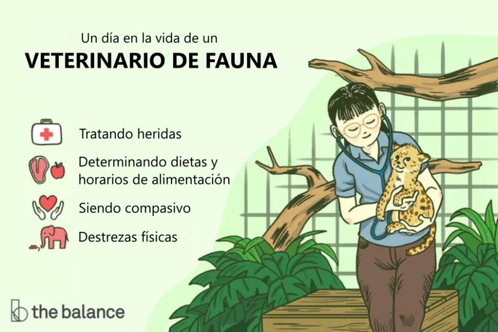 veterinaria dra silvestre