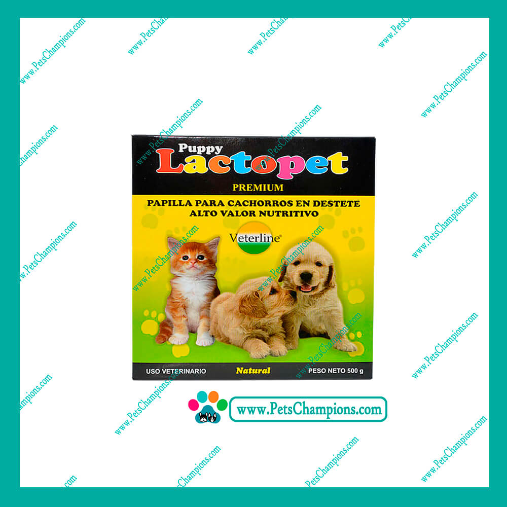 veterinaria el champio 1