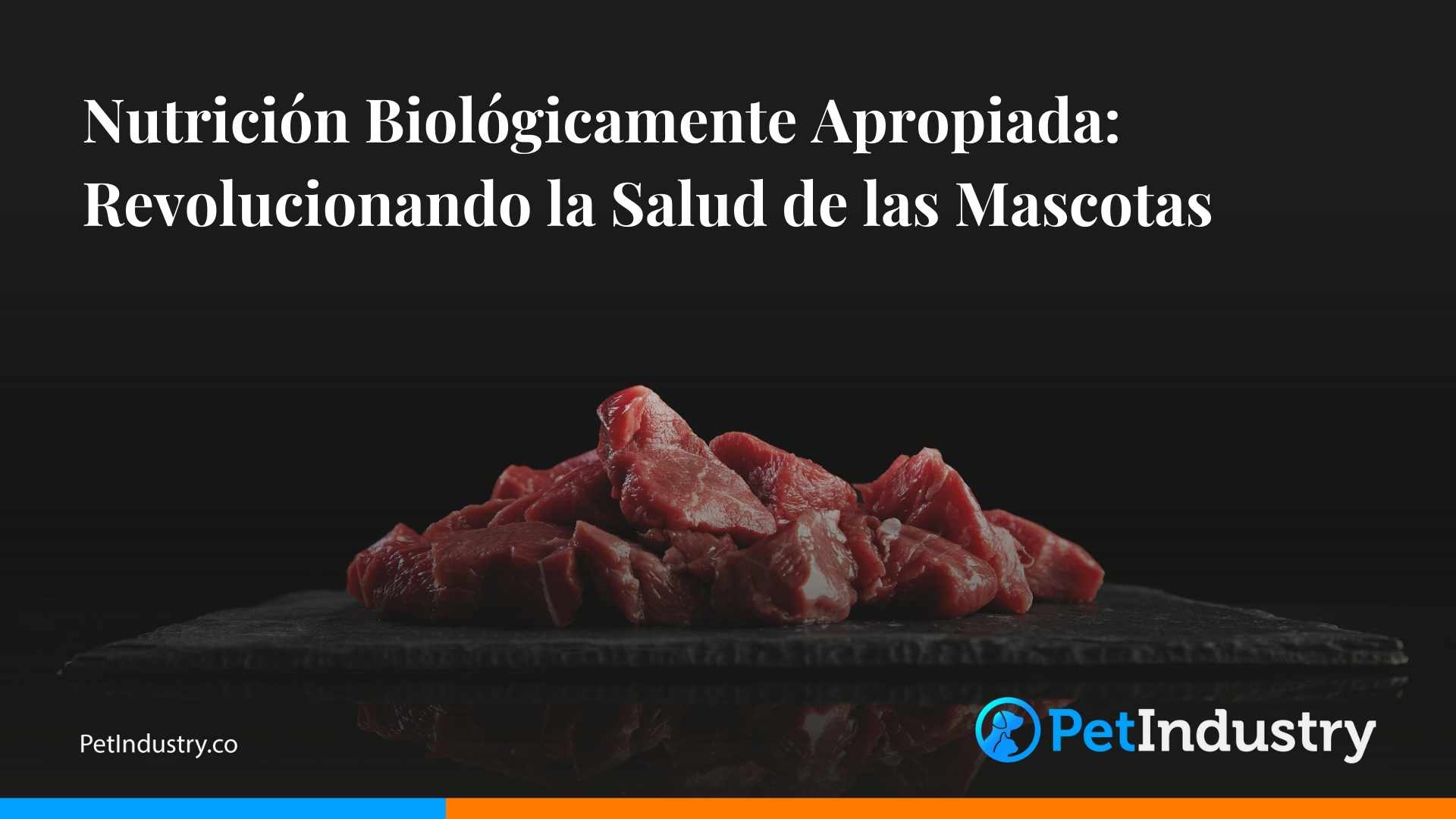 veterinaria el champio 3