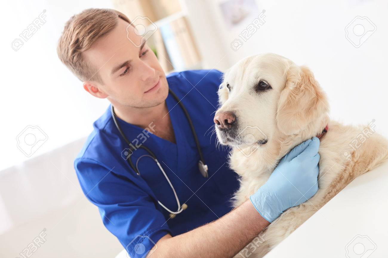 veterinaria el varon