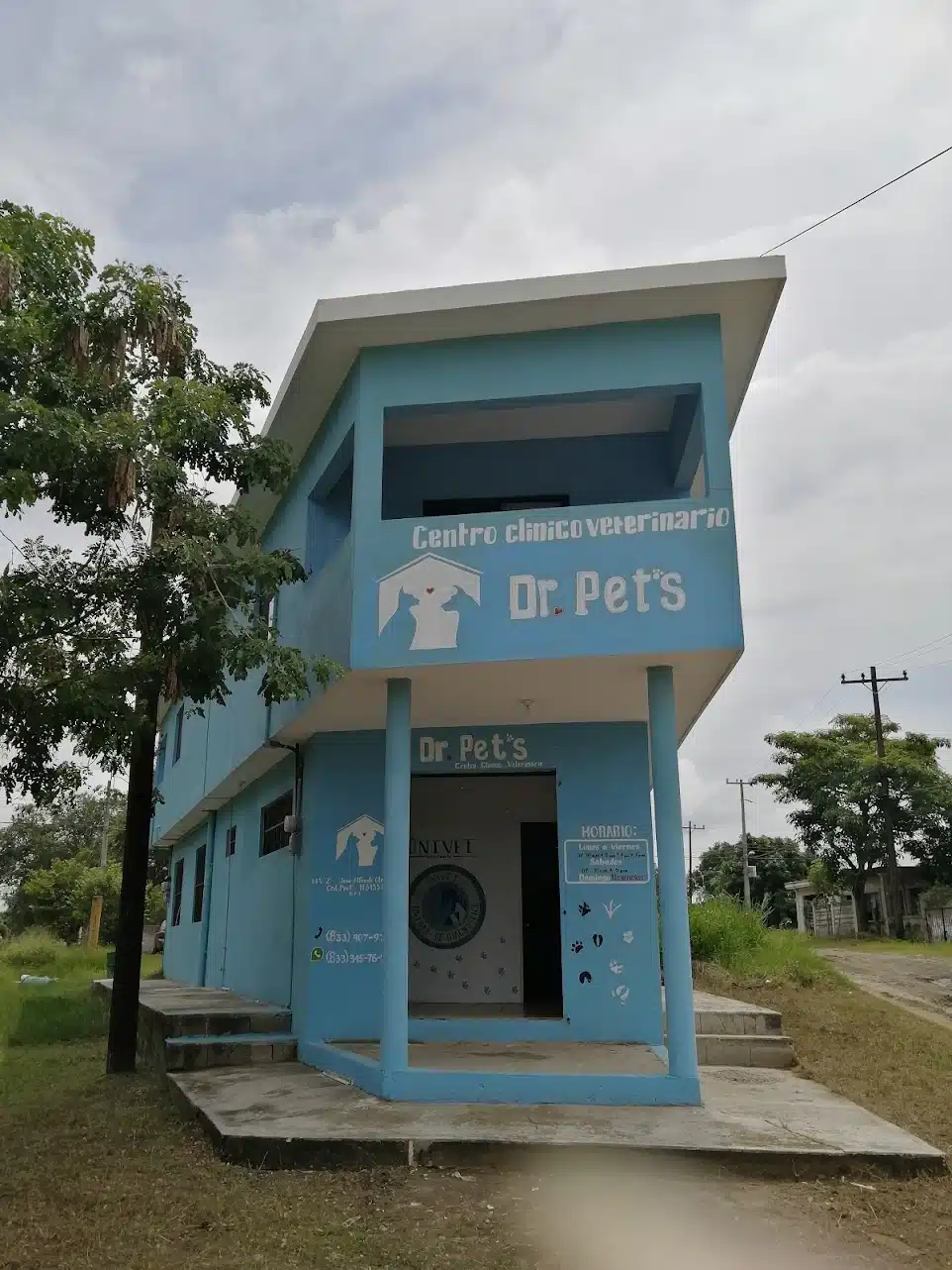veterinaria en altamira medivetz la florida