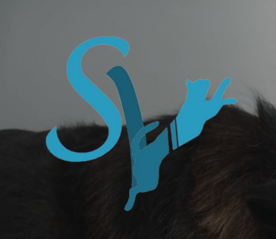 veterinaria flaquer 1