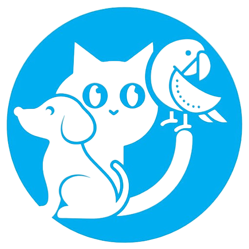 veterinaria geinny yan