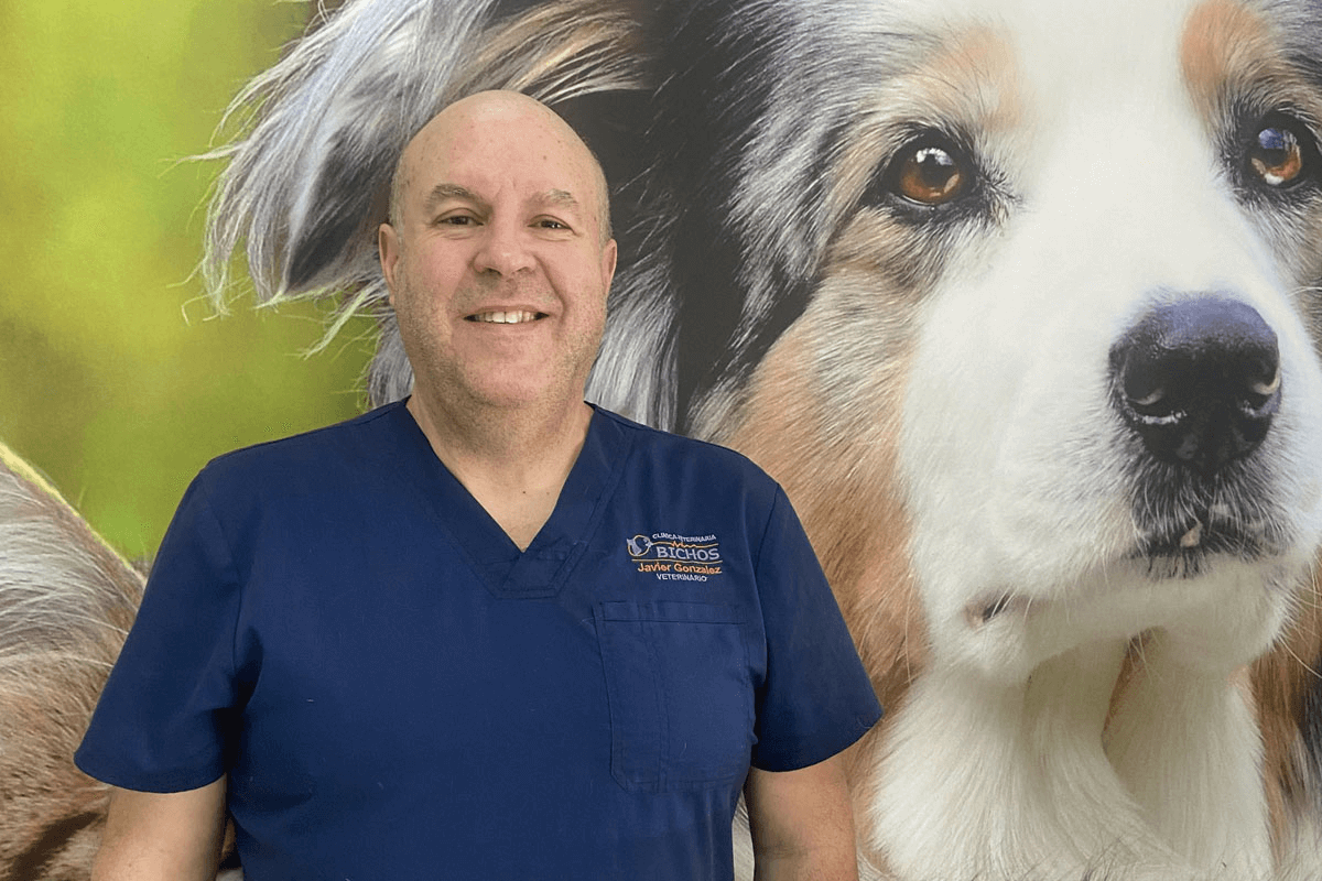 veterinaria gonzalez