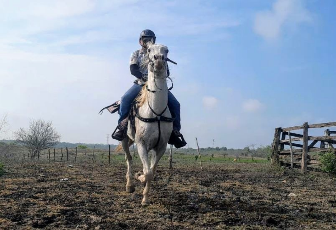 veterinaria hacienda urbana 5