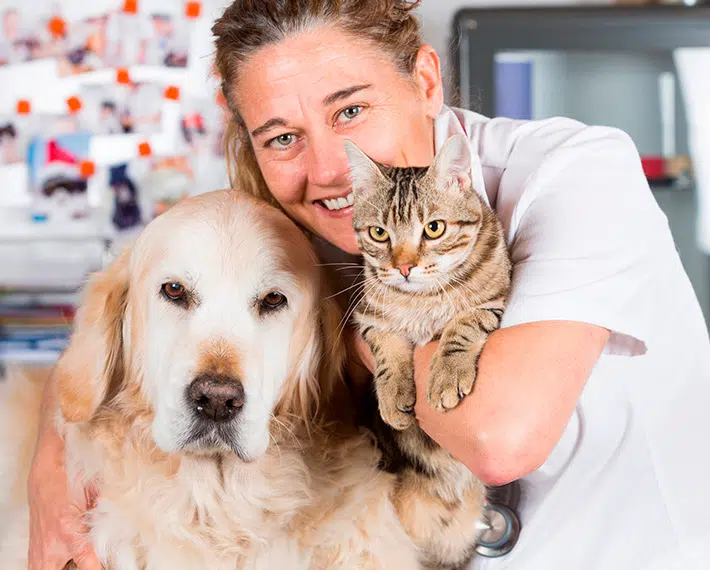 veterinaria hacienda urbana