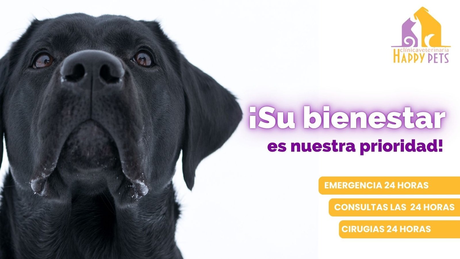 veterinaria happy pet 1