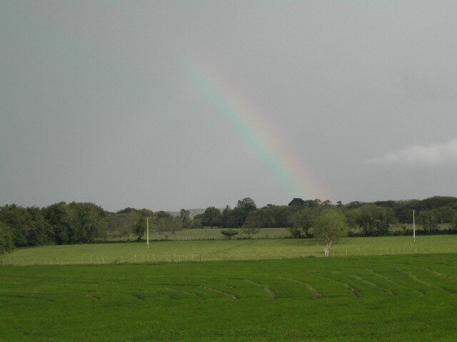 veterinaria hato del yaque