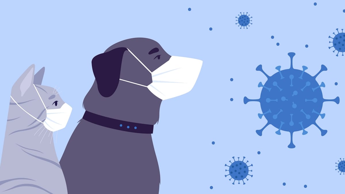 veterinaria hermanos ramirez