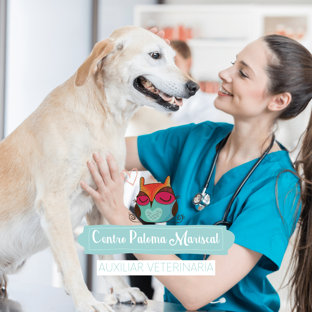 veterinaria jerez