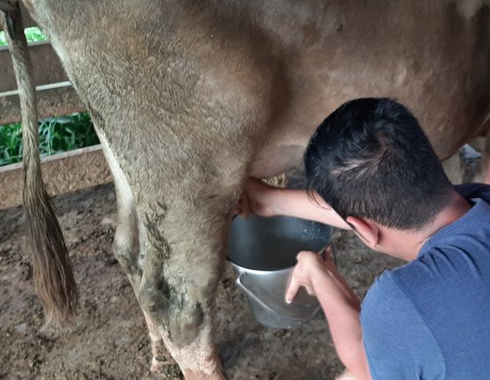 veterinaria la vaca 1