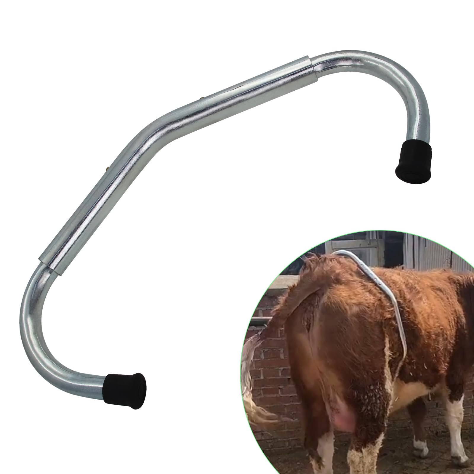 veterinaria la vaca 2