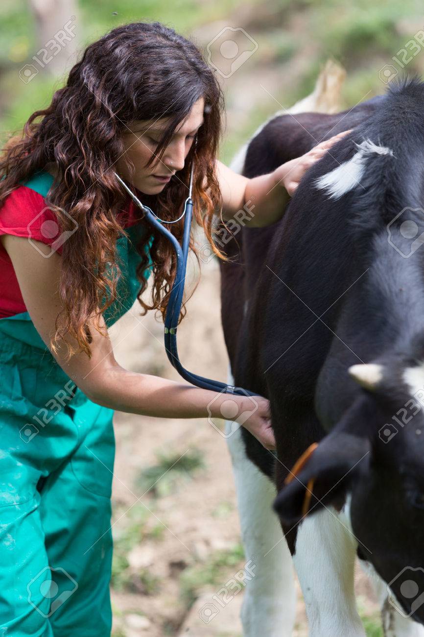 veterinaria la vaca 3