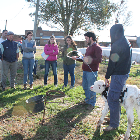 veterinaria libertad 2 1