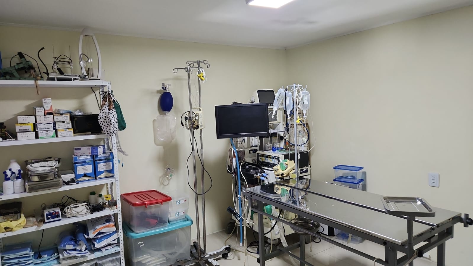 veterinaria libertad 2