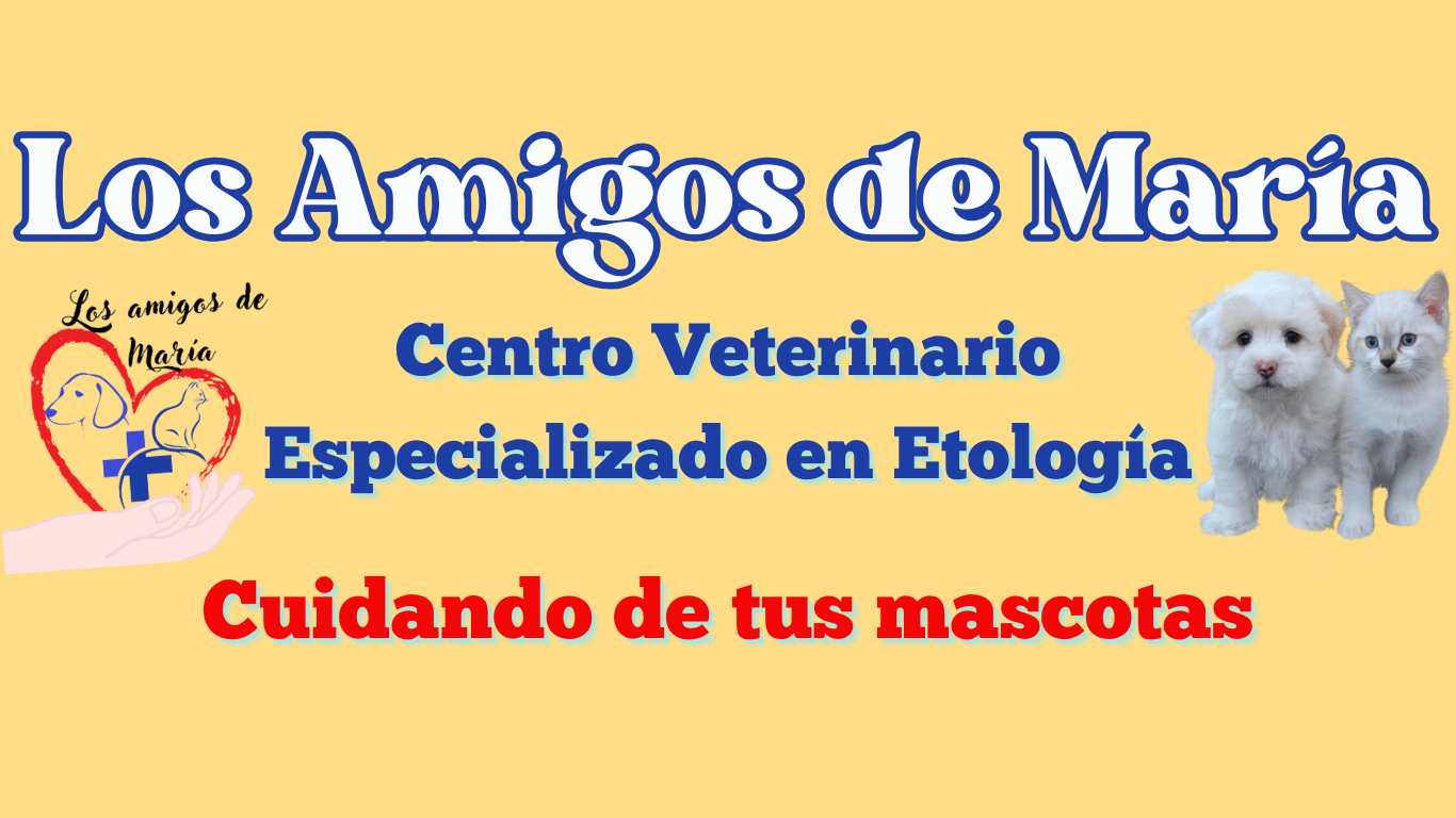 veterinaria los amigos