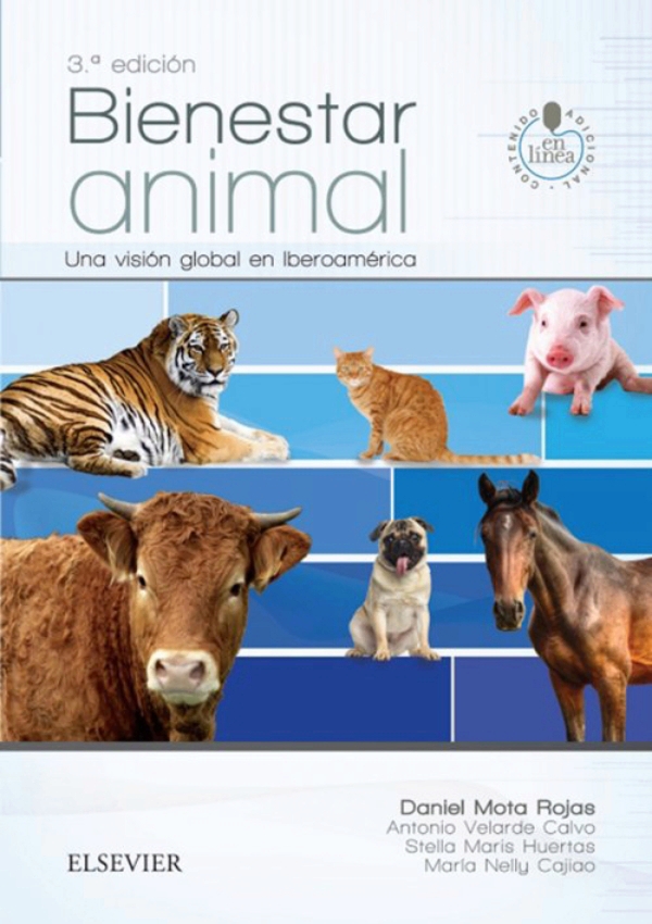 veterinaria mota