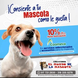 veterinaria mundo de mascotas