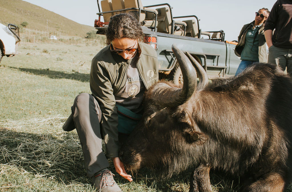 veterinaria naturaleza 1