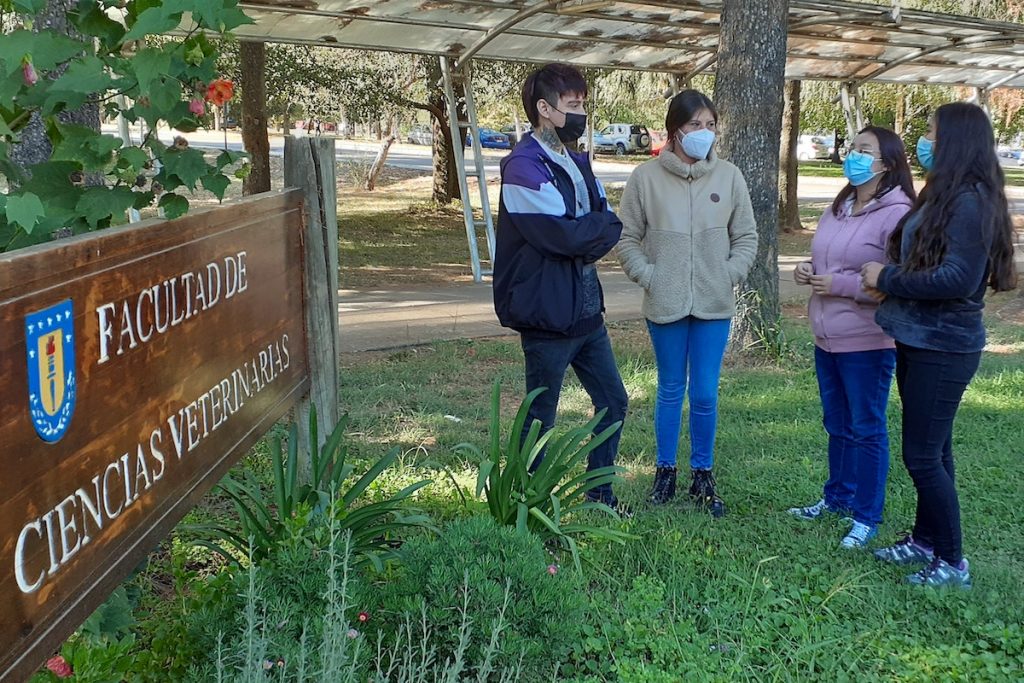 veterinaria naturaleza 3