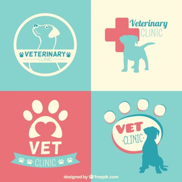 veterinaria pet care 1