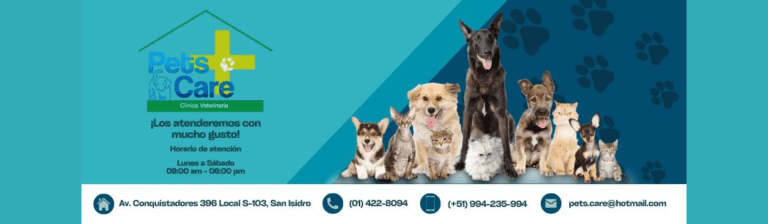 veterinaria pet care 1