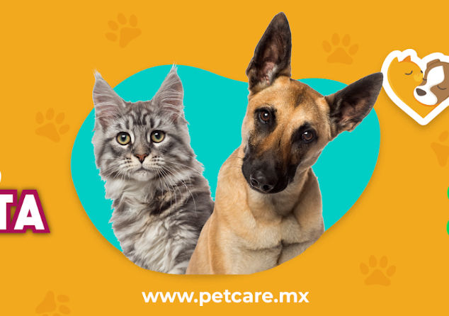 veterinaria pet care 3