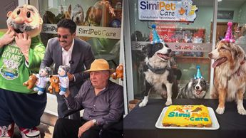 veterinaria pet care 7