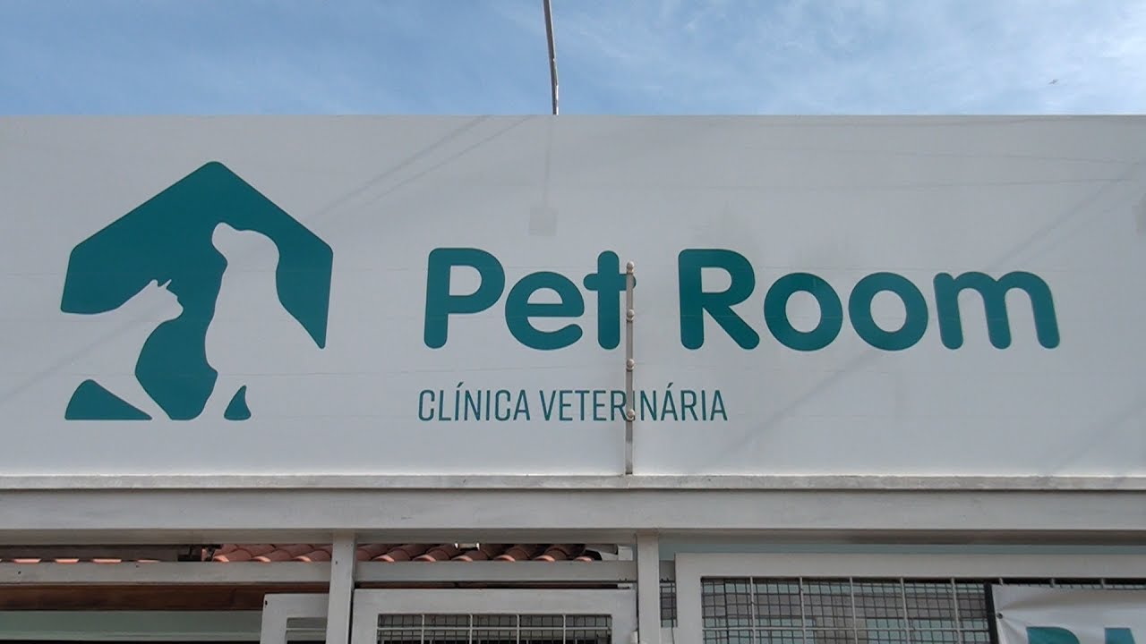 veterinaria pet care 9
