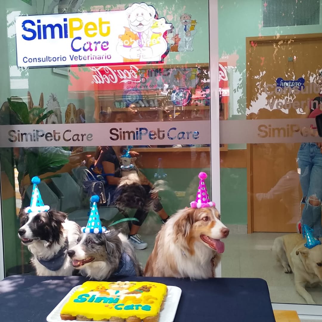 veterinaria pet care