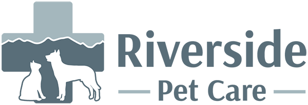 Veterinaria Pet Care 1 veterinaria pet care