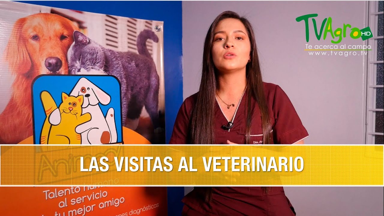 veterinaria san cristobal