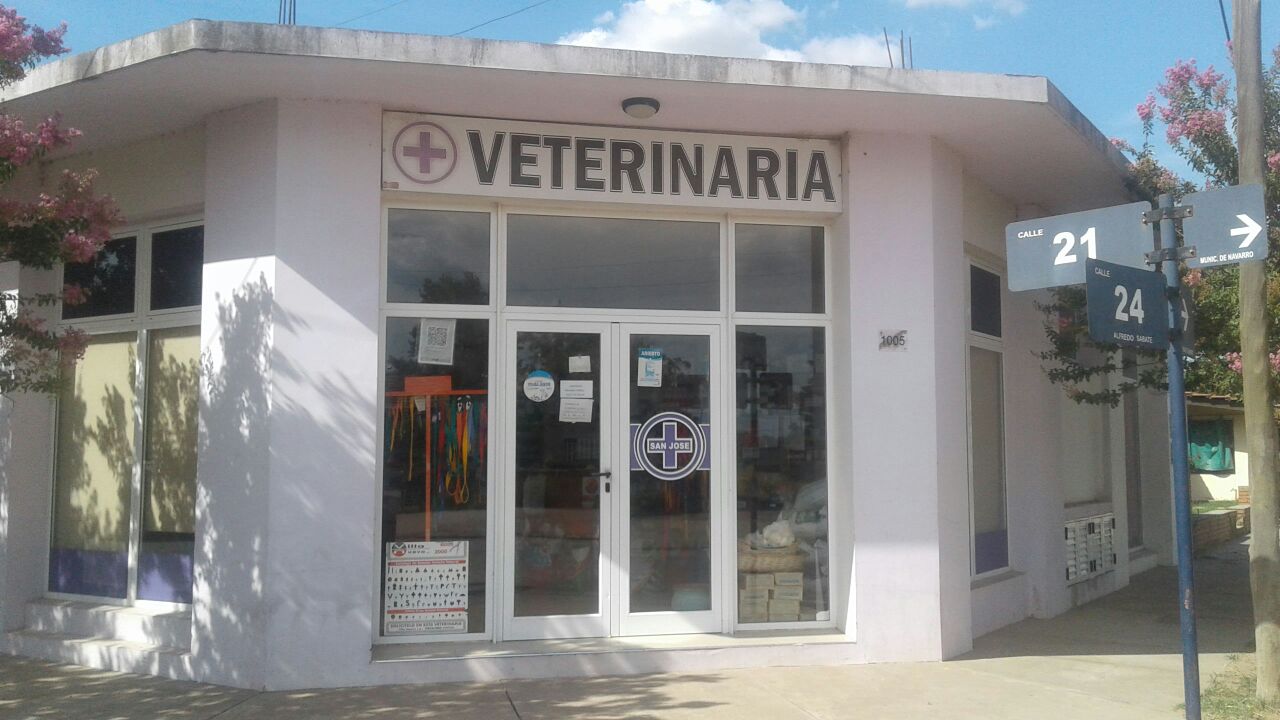 veterinaria san jose