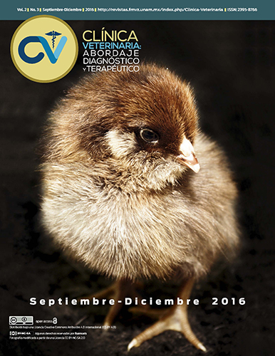 veterinaria todo gallo 2