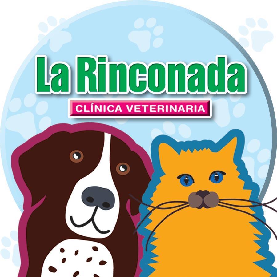 veterinaria vetmo 12