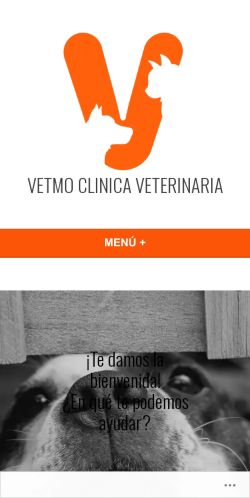 veterinaria vetmo 3