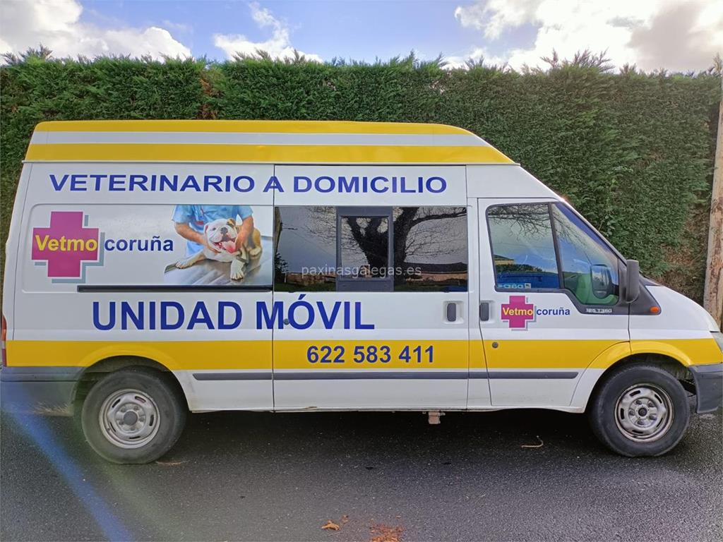 veterinaria vetmo 7