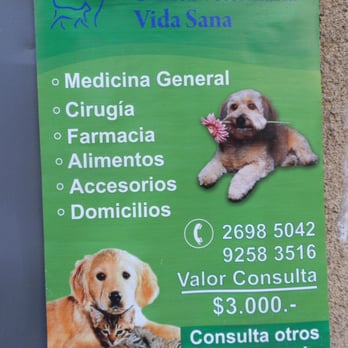 veterinaria vida animal