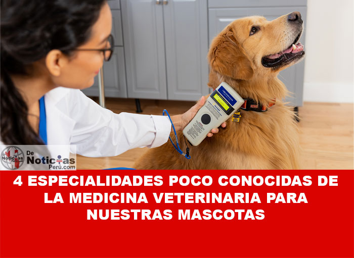 veterinario salud animal