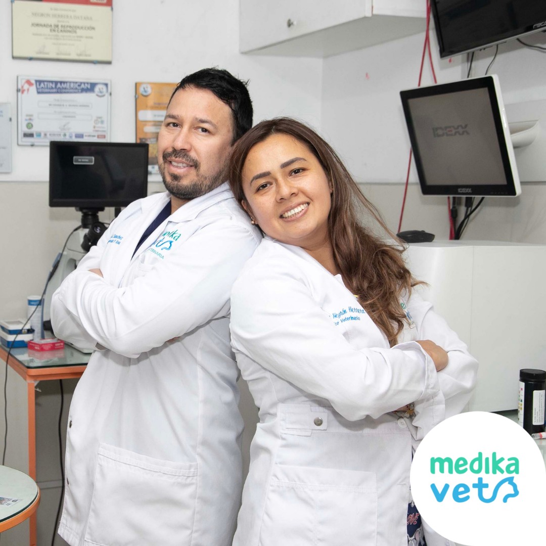 vetmo clinica veterinaria 1