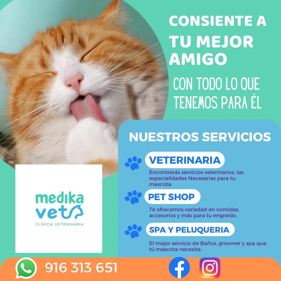 vetmo clinica veterinaria 6