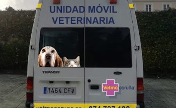 vetmo clinica veterinaria 9