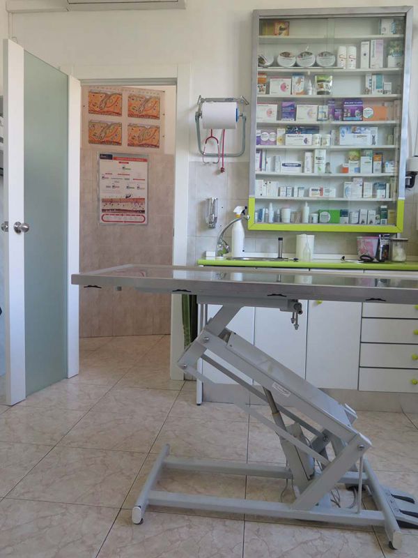 vetzone hospital veterinario 1